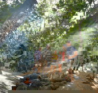 Mossman Gorge Adventure Day - Accommodation 4U