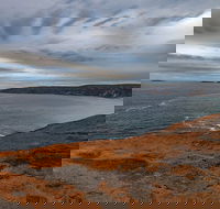 Kangaroo Island Luxury Small Group 'Flinders Chase Focus' Full Day Tour - Accommodation 4U