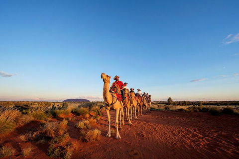 Uluru Small-Group Tour By Camel At Sunrise Or Sunset - Accommodation 4U 3