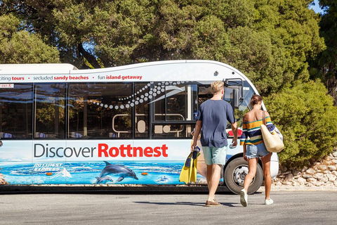 Discover Rottnest With Ferry & Bus Tour From Perth Or Fremantle - Accommodation 4U 1