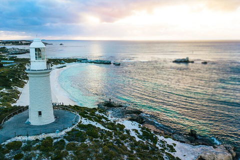 Discover Rottnest With Ferry & Bus Tour From Perth Or Fremantle - Accommodation 4U 2
