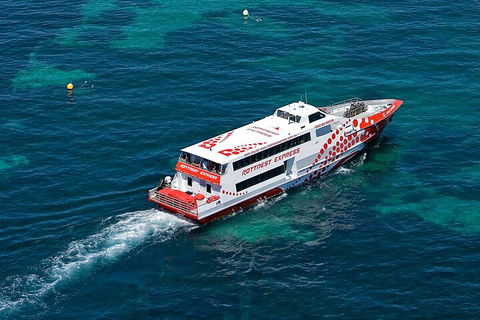Discover Rottnest With Ferry & Bus Tour From Perth Or Fremantle - Accommodation 4U 3
