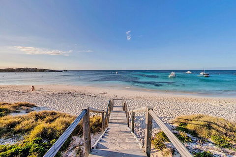 Discover Rottnest With Ferry & Bus Tour From Perth Or Fremantle - Accommodation 4U 4