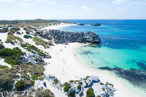 Discover Rottnest With Ferry & Bus Tour From Perth Or Fremantle - Accommodation 4U 5
