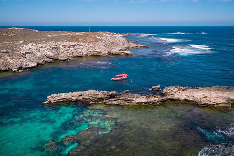 Adventure Rottnest Tour With Ferry & Adventure Cruise From Perth Or Fremantle - Accommodation 4U 3