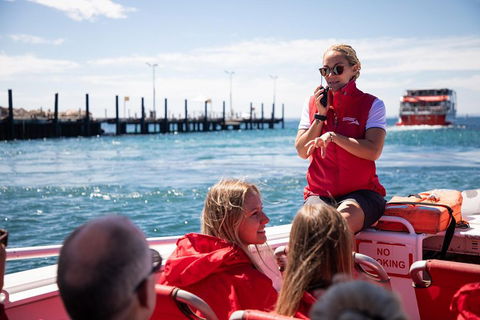 Adventure Rottnest Tour With Ferry & Adventure Cruise From Perth Or Fremantle - Accommodation 4U 4