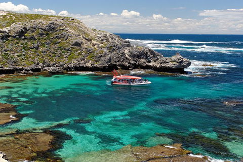 Adventure Rottnest Tour With Ferry & Adventure Cruise From Perth Or Fremantle - Accommodation 4U 5