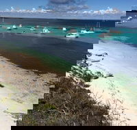 Experience Rottnest with Ferry  Bike Hire from Perth or Fremantle - Accommodation 4U