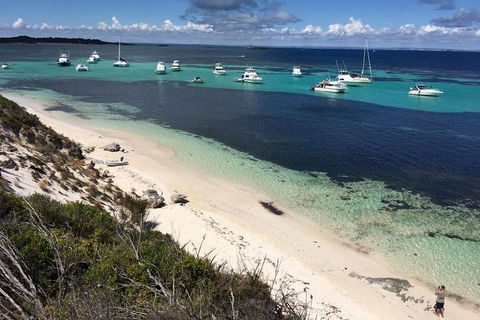Experience Rottnest With Ferry & Bike Hire From Perth Or Fremantle - Accommodation 4U 0