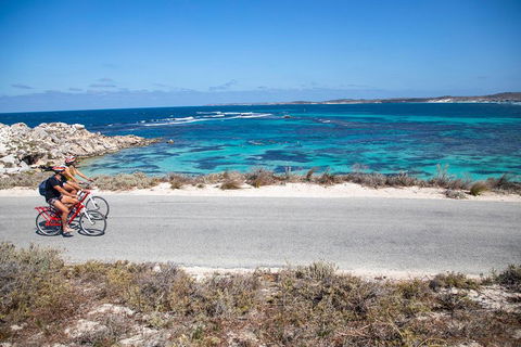 Experience Rottnest With Ferry & Bike Hire From Perth Or Fremantle - Accommodation 4U 2