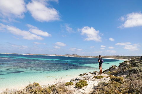 Experience Rottnest With Ferry & Bike Hire From Perth Or Fremantle - Accommodation 4U 3