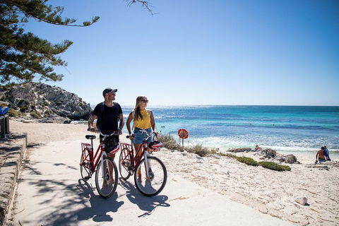 Experience Rottnest With Ferry & Bike Hire From Perth Or Fremantle - Accommodation 4U 4