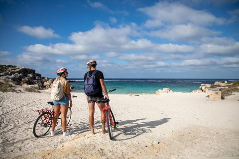 Experience Rottnest With Ferry & Bike Hire From Perth Or Fremantle - Accommodation 4U 5