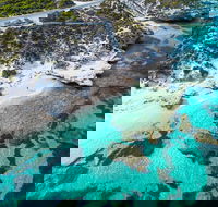 Rottnest Island Round-Trip Ferry from Perth or Fremantle - Accommodation 4U