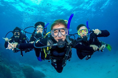 Great Barrier Reef Diving And Snorkeling Cruise From Cairns - Accommodation 4U 0