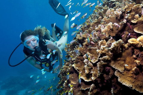 Great Barrier Reef Diving And Snorkeling Cruise From Cairns - Accommodation 4U 1