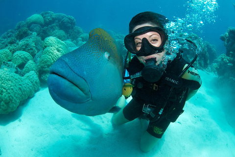 Great Barrier Reef Diving And Snorkeling Cruise From Cairns - Accommodation 4U 2