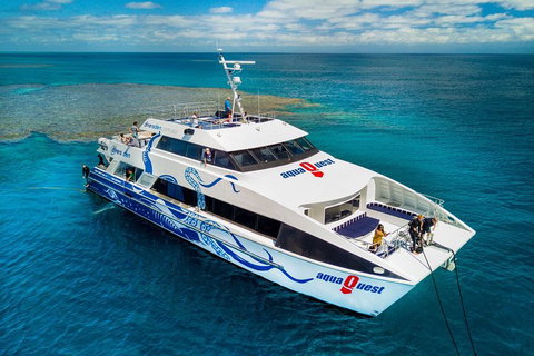 Great Barrier Reef Diving And Snorkeling Cruise From Cairns - Accommodation 4U 5
