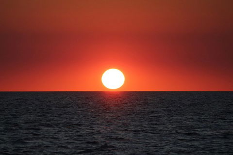 Roebuck Bay Snubfin Dolphin Cruise - Accommodation 4U 3