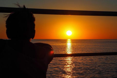 Roebuck Bay Snubfin Dolphin Cruise - Accommodation 4U 4