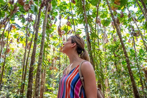5 Day Australia Retreat: Queensland Daintree - Accommodation 4U 0