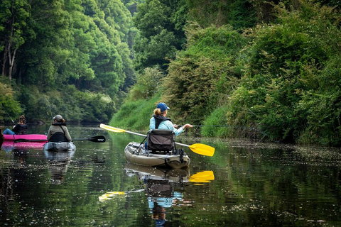 Byron Bay Rainforest Fishing - Accommodation 4U 0