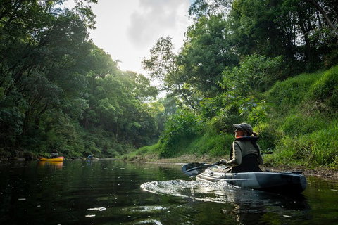 Byron Bay Rainforest Fishing - Accommodation 4U 1