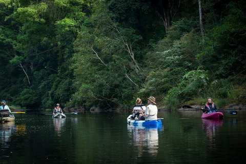 Byron Bay Rainforest Fishing - Accommodation 4U 2