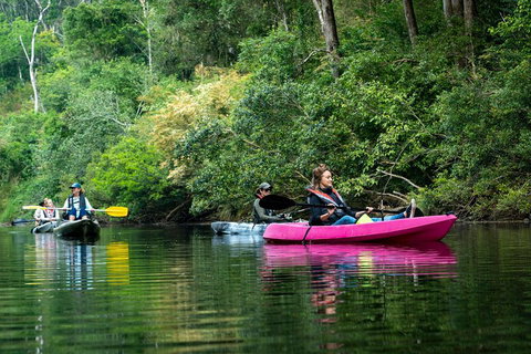 Byron Bay Rainforest Fishing - Accommodation 4U 4