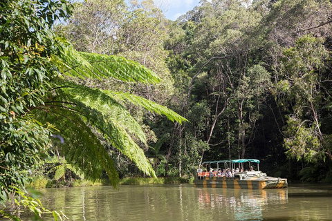 Best Of Kuranda Including Skyrail, Kuranda Scenic Railway And Rainforestation - Accommodation 4U 5