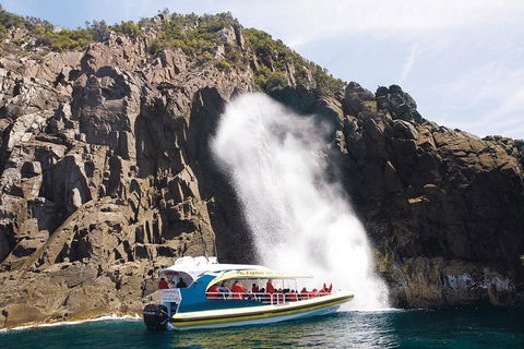 Full-Day Bruny Island Cruises Day Tour From Hobart - Accommodation 4U 4