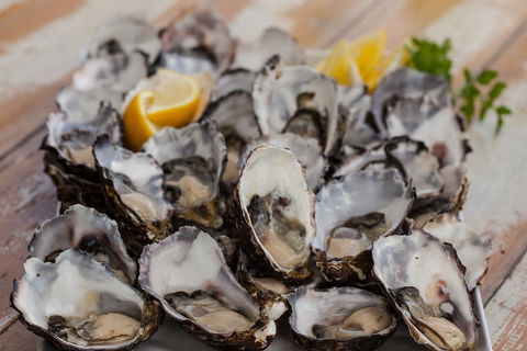 Bruny Island Traveller - Gourmet Tasting And Sightseeing Day Trip From Hobart - Accommodation 4U 4