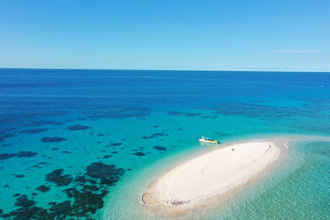 Ocean Safari Great Barrier Reef Experience In Cape Tribulation - Accommodation 4U 0