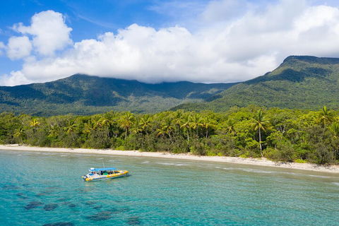 Ocean Safari Great Barrier Reef Experience In Cape Tribulation - Accommodation 4U 2