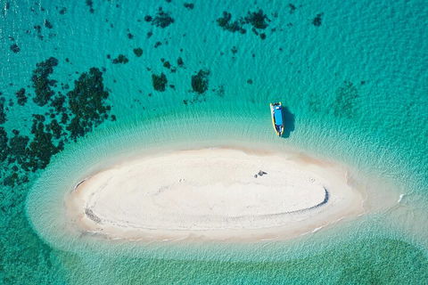 Ocean Safari Great Barrier Reef Experience In Cape Tribulation - Accommodation 4U 3