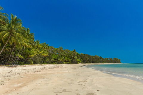 Ocean Safari Great Barrier Reef Experience In Cape Tribulation - Accommodation 4U 4