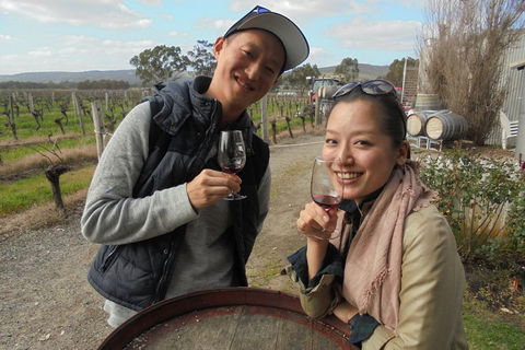 Swan Valley River Cruise And Wine Tasting Day Trip From Perth - Accommodation 4U 0