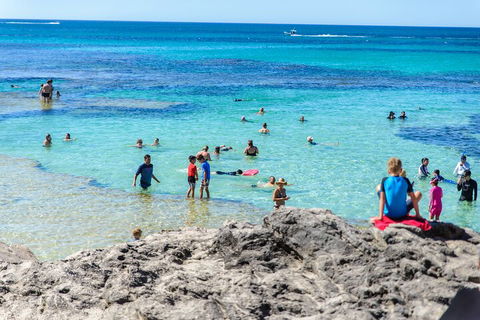 Rottnest Island Roundtrip Fast Ferry From Hillarys Boat Harbour - Accommodation 4U 1