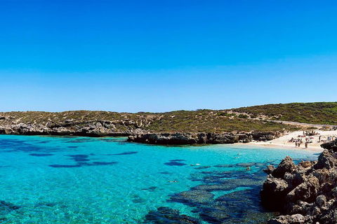 Rottnest Island Roundtrip Fast Ferry From Hillarys Boat Harbour - Accommodation 4U 4