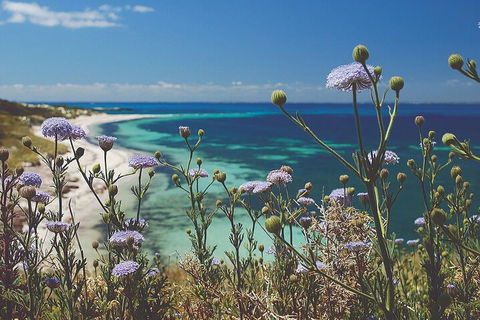 Rottnest Island Full-Day Trip With Guided Island Tour From Perth - Accommodation 4U 2