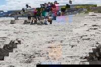 Book Viator Accommodation Vacations Accommodation 4U Accommodation 4U