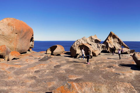 Full-Day Kangaroo Island Experience Departing From Kangaroo Island - Accommodation 4U 4