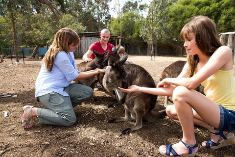 Full-Day Kangaroo Island Experience Departing From Kangaroo Island - Accommodation 4U 5