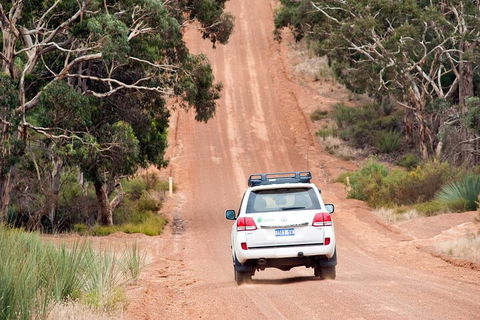 Full Day Seal Bay Experience Departing From Kangaroo Island - Accommodation 4U 2