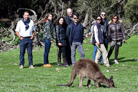 Full Day Seal Bay Experience Departing From Kangaroo Island - Accommodation 4U 3