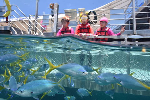 Outer Reef Pontoon Experience From Cairns - Accommodation 4U 0