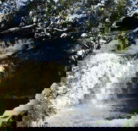 Cradle Mountain Day Tour from Launceston Including Lunch - Accommodation 4U