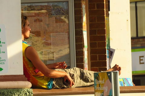 Beyond Byron Hinterland Tour - Accommodation 4U 4
