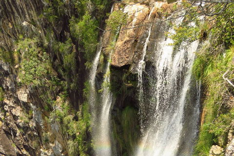 Beyond Byron Hinterland Tour - Accommodation 4U 5