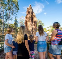 Litchfield National Park Waterfalls and Wildlife Tour from Darwin - Accommodation 4U